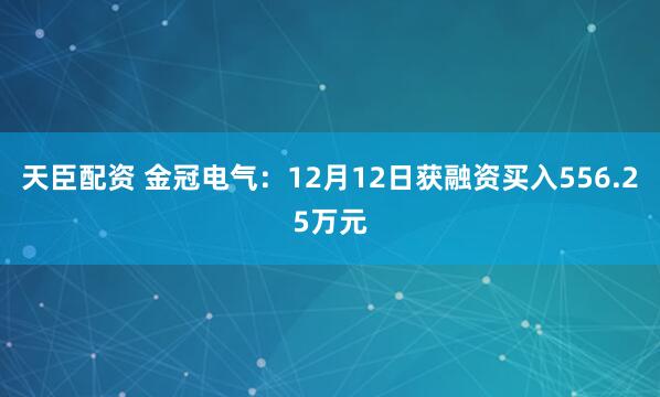 天臣配资 金冠电气：12月12日获融资买入556.25万元
