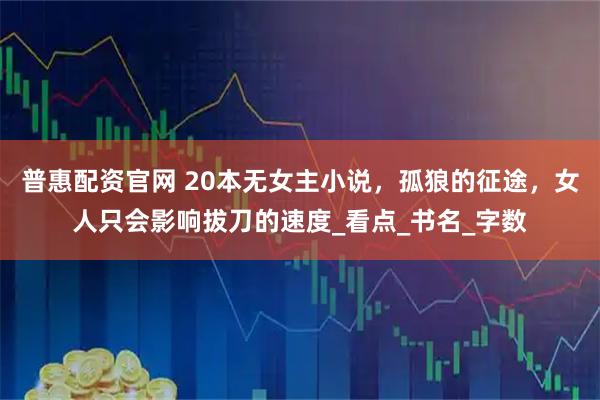 普惠配资官网 20本无女主小说，孤狼的征途，女人只会影响拔刀的速度_看点_书名_字数