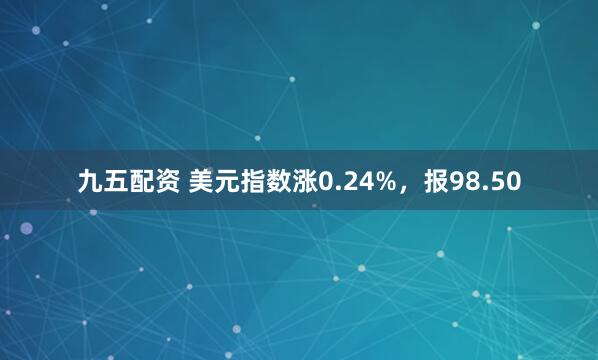 九五配资 美元指数涨0.24%，报98.50